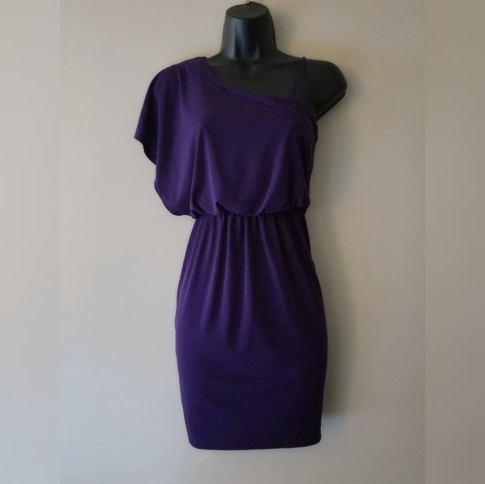 Beautiful Puprle Womens Dress Size Small